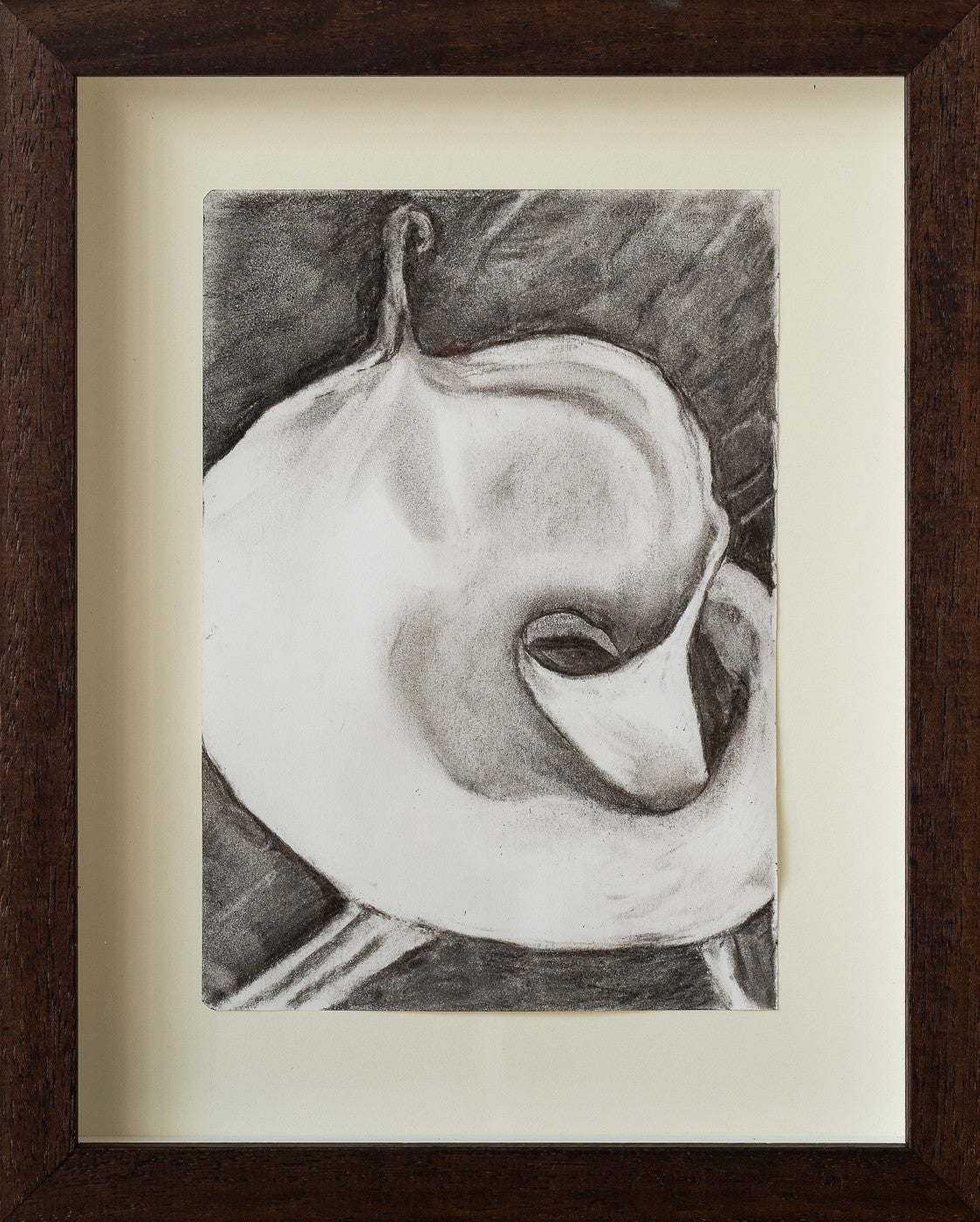 Cups of Milk III, 6 x 8 in | 15 x 20 cm, Charcoal on Paper, 2024