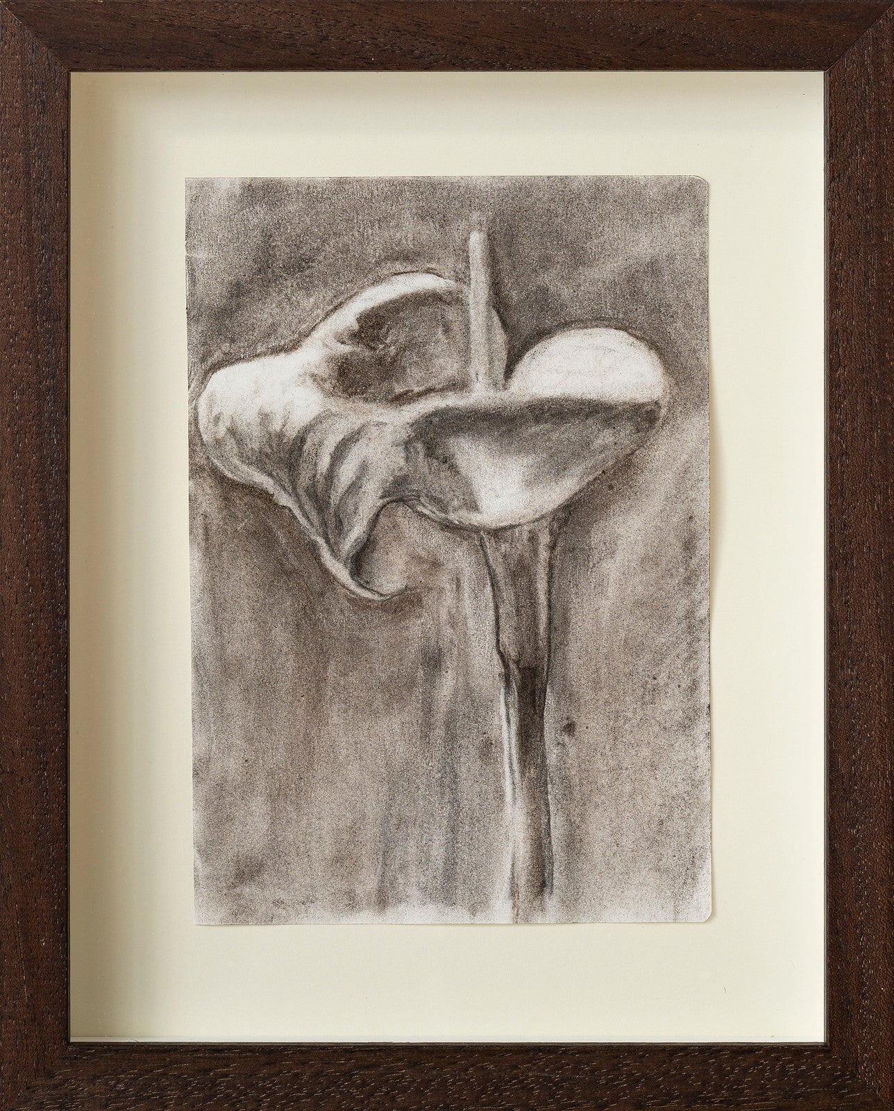 Cups of Milk I, 6 x 8 in | 15 x 20 cm, Charcoal on Paper, 2024