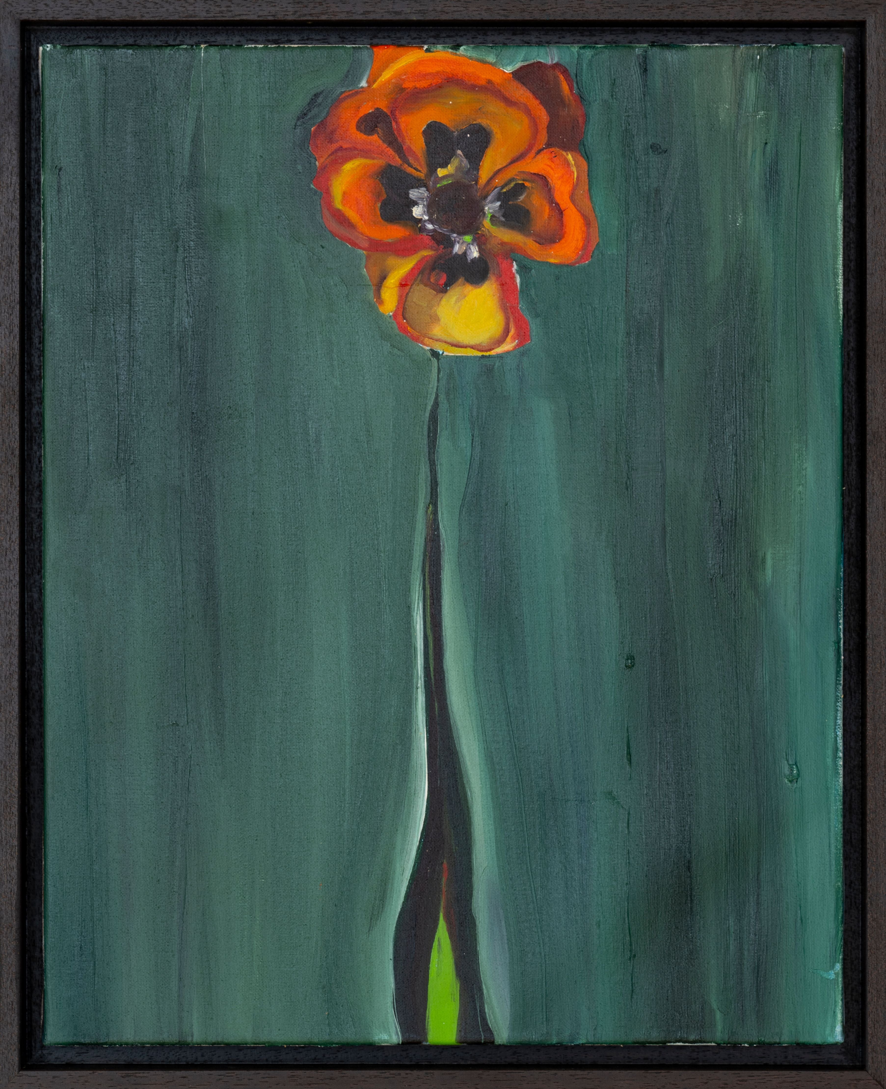CURTAINS OF THE SUN 16 x 20 in | 41 x 51 cm Oil on Canvas, 2024
